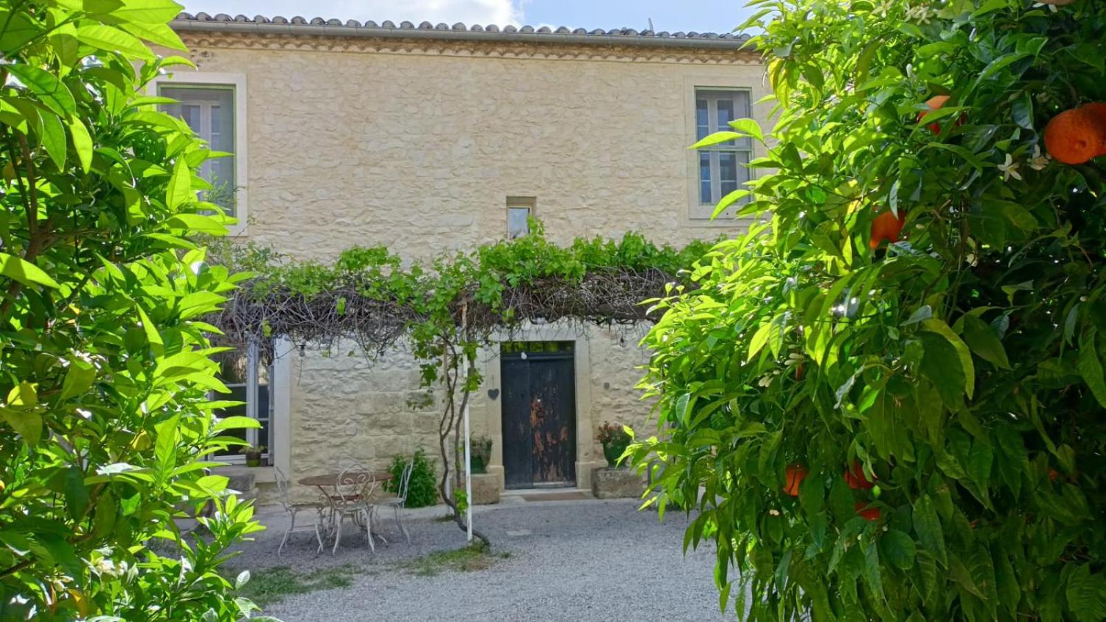 Villa La Taniere Vergèze Exterior foto